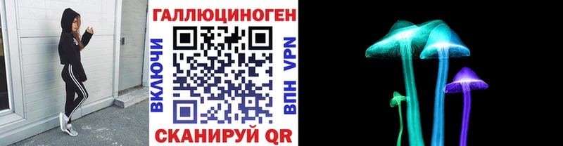 Галлюциногенные грибы Psilocybine cubensis  KRAKEN вход  Нелидово 